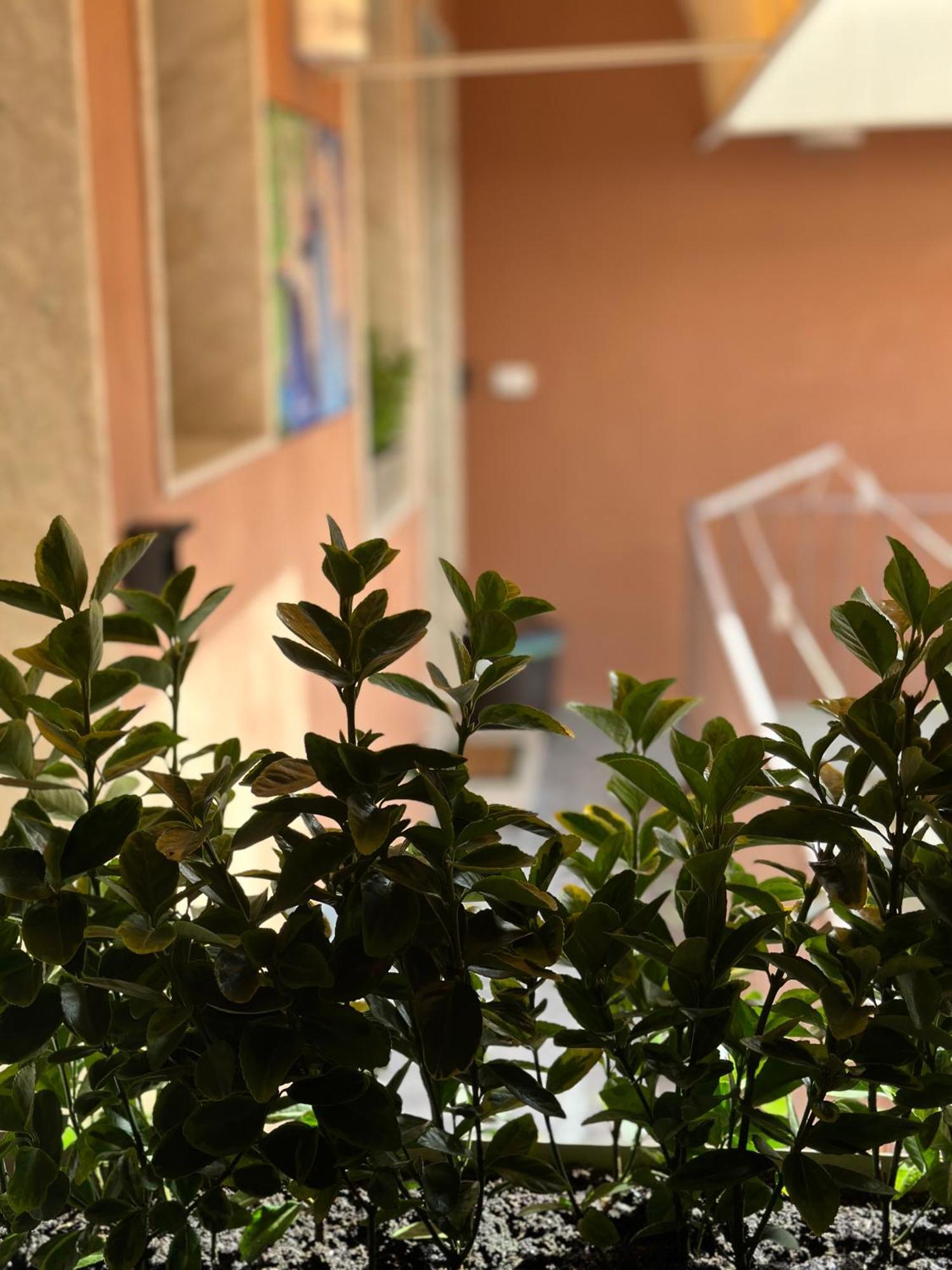 Le Luxury Siracusa Syracuse