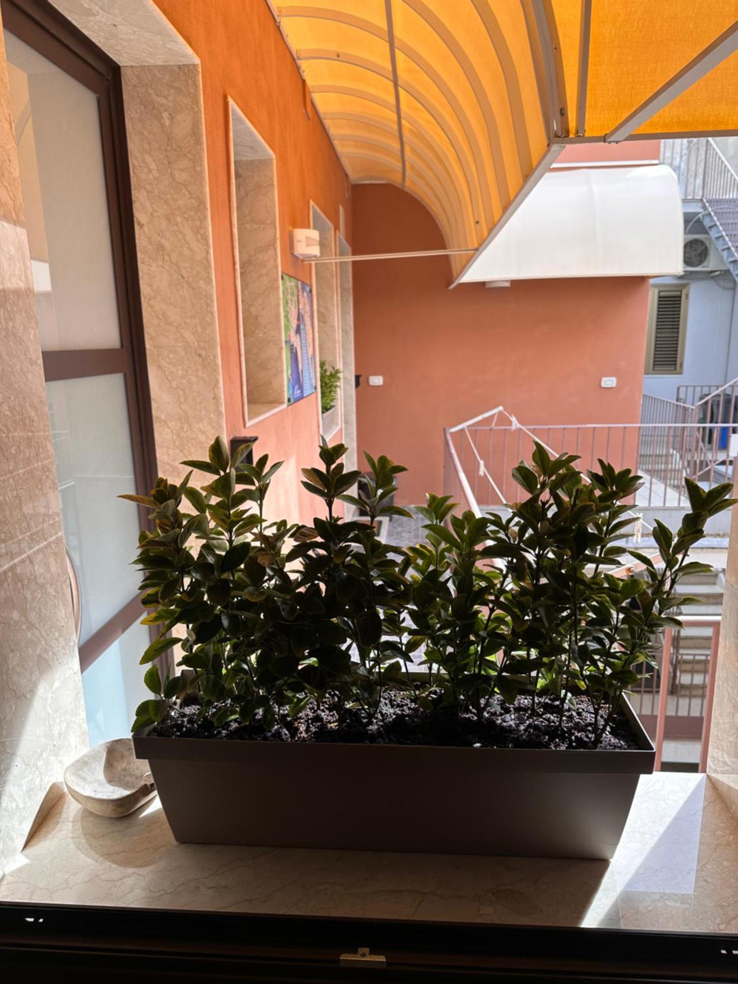 Le Luxury Siracusa Pensión